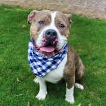 Thumbnail photo of Spike 1042-24 #1