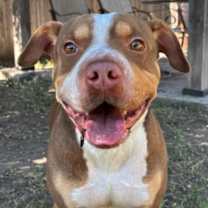 Thumbnail photo of Boo #2