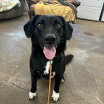 Thumbnail photo of Bear #1