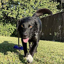 Thumbnail photo of Bear #3