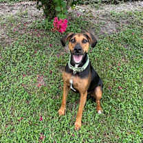 Thumbnail photo of Sugar Pants #1