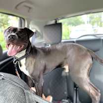 Thumbnail photo of Surfer Cooler #2