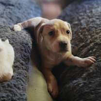 Thumbnail photo of Birch (Formerly Kahoot) #4