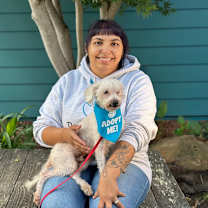 Thumbnail photo of Nosforatu #4