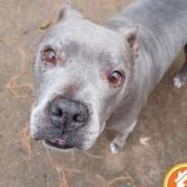 Thumbnail photo of Elsa #2