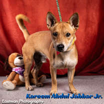 Thumbnail photo of Kareem Abdul-Jabbar Jr  #1