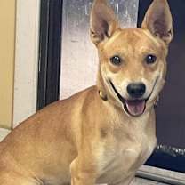 Thumbnail photo of Kareem Abdul-Jabbar Jr  #3