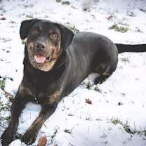 Thumbnail photo of Sonic #3