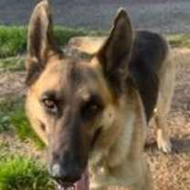 Thumbnail photo of Zeus 4839 #4