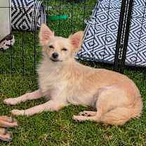 Thumbnail photo of Sarah  #1