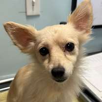 Thumbnail photo of Sarah  #2