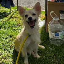 Thumbnail photo of Sarah  #3