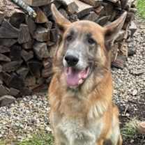 Thumbnail photo of Salvador #2