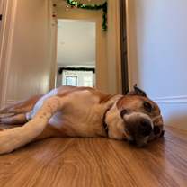 Thumbnail photo of Dylan Man #2