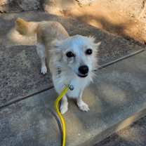 Thumbnail photo of Sarah  #4