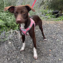 Thumbnail photo of Mila #4