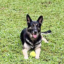 Thumbnail photo of Tasha #3