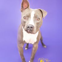 Thumbnail photo of Logan #1