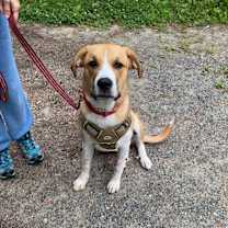 Thumbnail photo of Penny #2