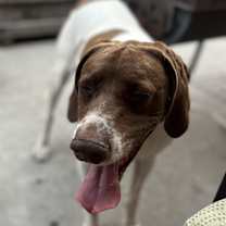 Thumbnail photo of Ranger #2