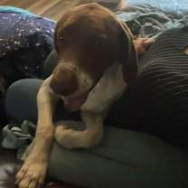 Thumbnail photo of Ranger #3