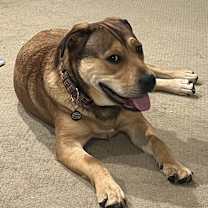 Thumbnail photo of Kenya-Zambia #2