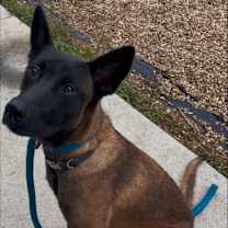 Thumbnail photo of Daisy Duke - Located in Florida #1