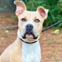 Thumbnail photo of Linus #3