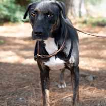 Thumbnail photo of Wednesday #3