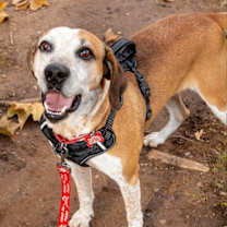 Thumbnail photo of Walter #2