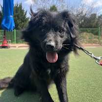 Thumbnail photo of Gucci #3