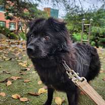 Thumbnail photo of Gucci #4