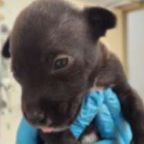 Thumbnail photo of Aaron #4