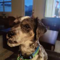 Thumbnail photo of Cutch #1