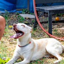 Thumbnail photo of Juni #4