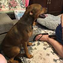 Thumbnail photo of Coco #2