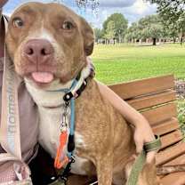 Thumbnail photo of CARLY #3