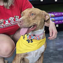 Thumbnail photo of CARLY #4