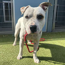 Thumbnail photo of Freckle #4