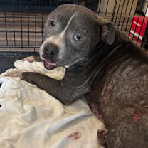 Thumbnail photo of Bubba Gump JuM #2