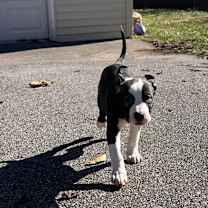 Thumbnail photo of Kam #4