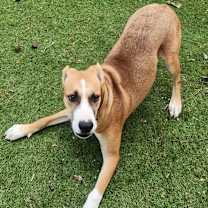 Thumbnail photo of Harold JuM #3