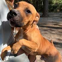 Thumbnail photo of Snickers #2