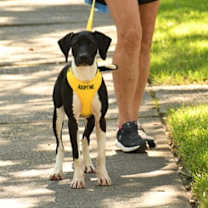 Thumbnail photo of Frida #2