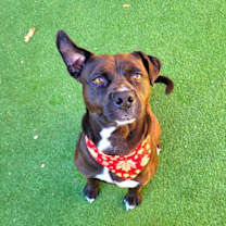 Thumbnail photo of Carl #2