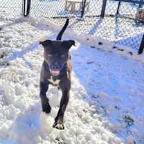 Thumbnail photo of Carl #3