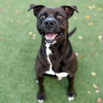 Thumbnail photo of Carl #4