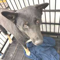 Thumbnail photo of Boeing JuM #2