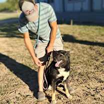 Thumbnail photo of Boeing JuM #3