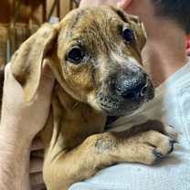 Thumbnail photo of Labubu ~ meet me! #2